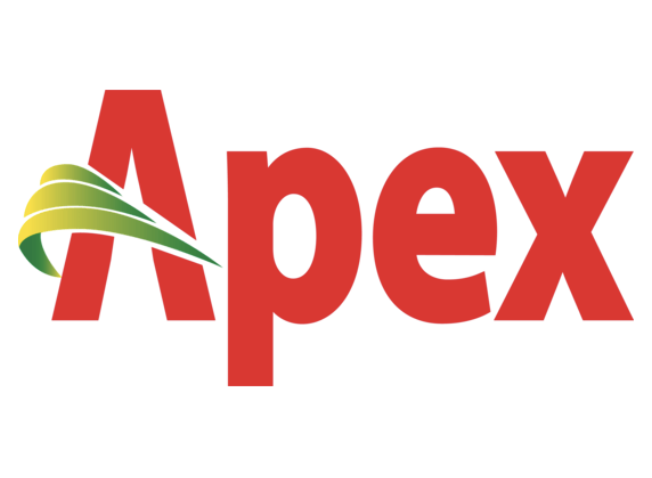 Apex logo